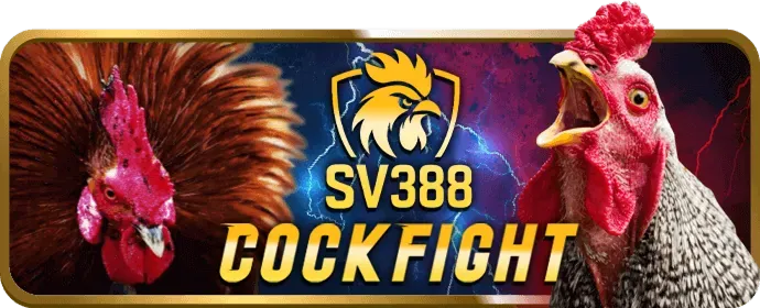 Đội ngũ hỗ trợ khách hàng BJ88 luôn sẵn sàng